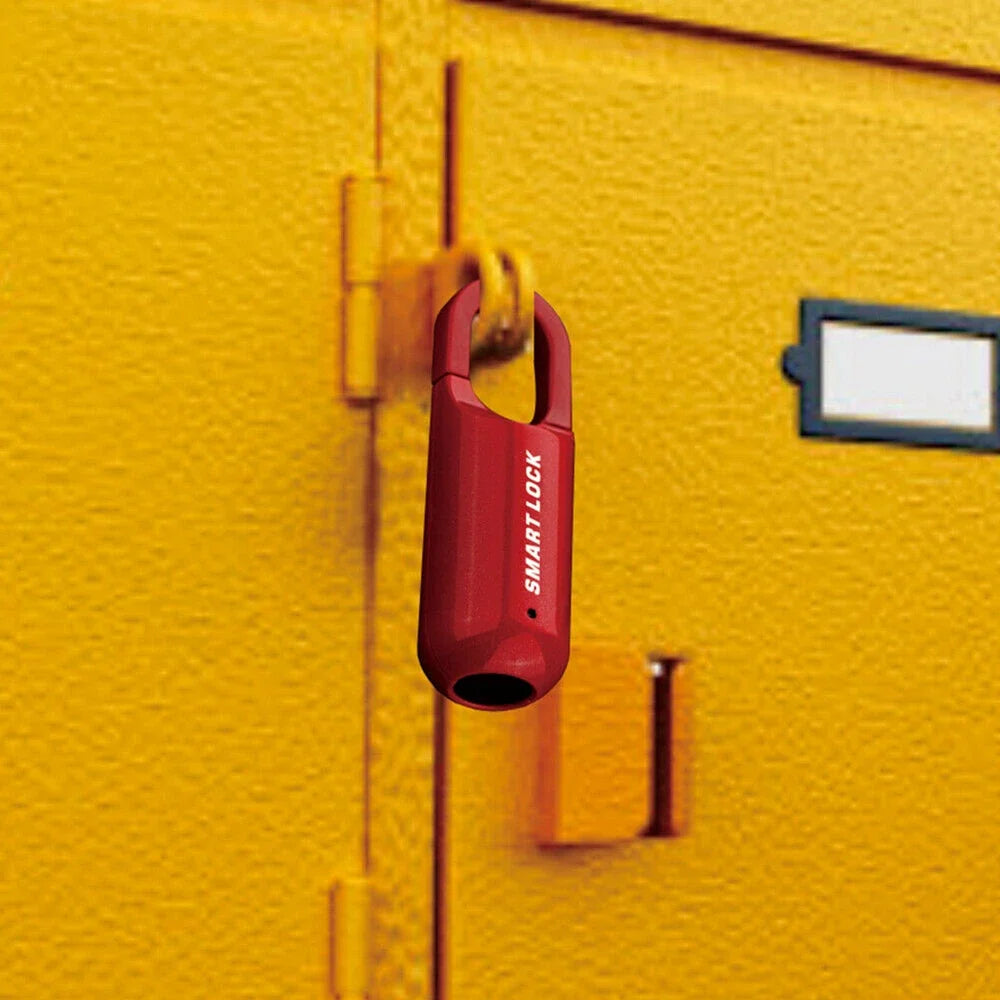 Finger Print Lock