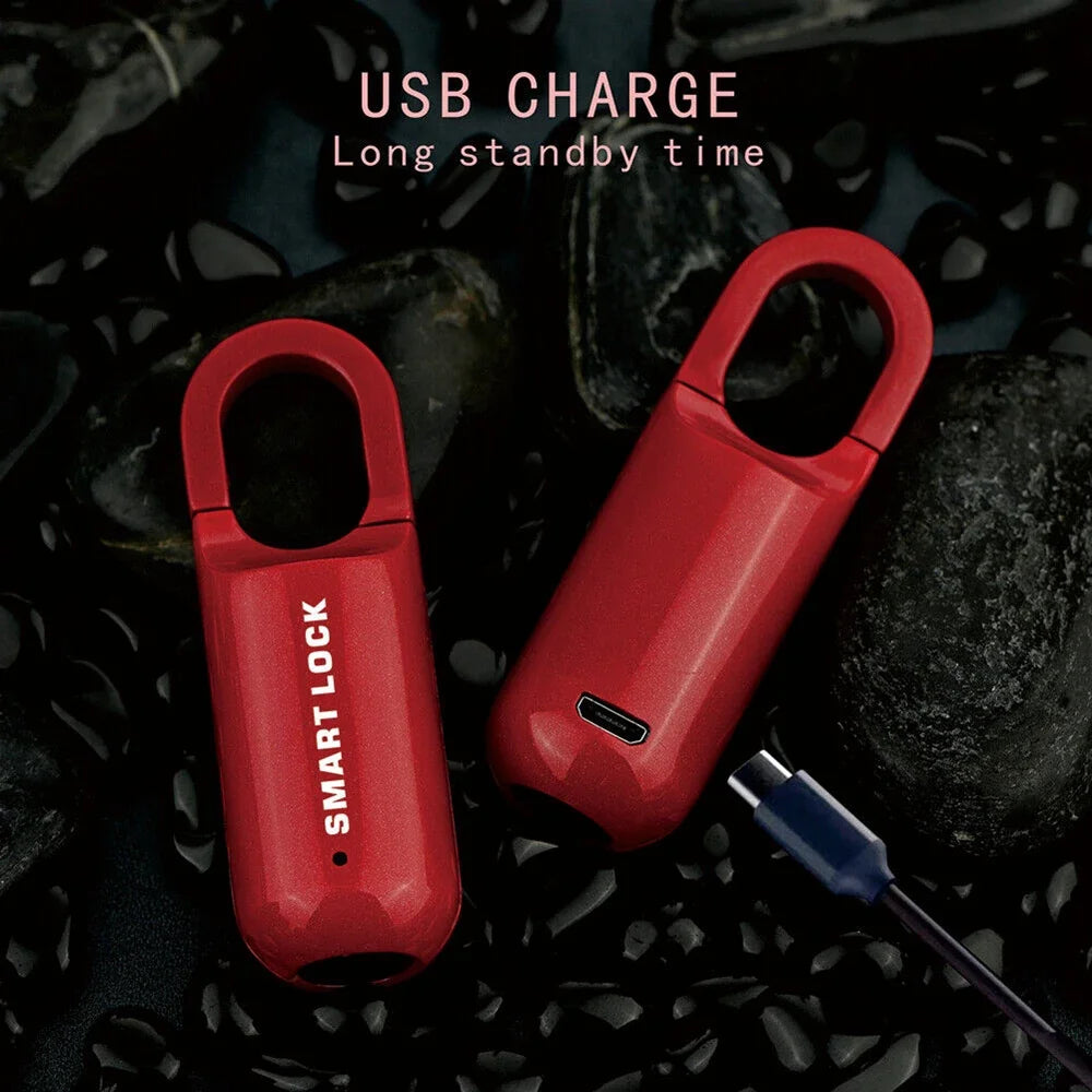 Finger Print Lock